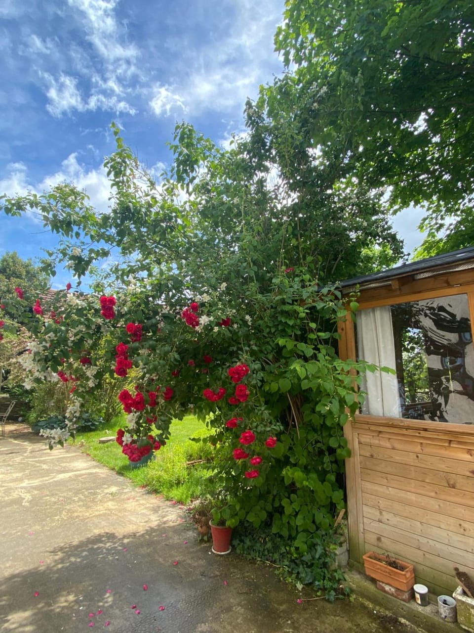 Garden, Garden, Spa and wellness centre/facilities, Internal: Not applicable to any particular room