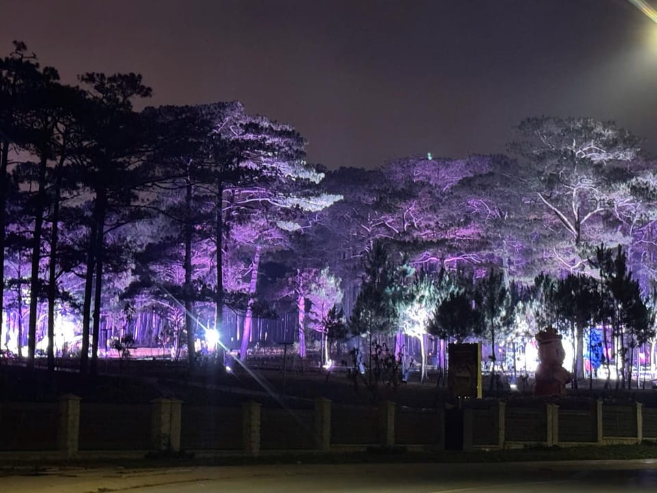 Night, Natural landscape