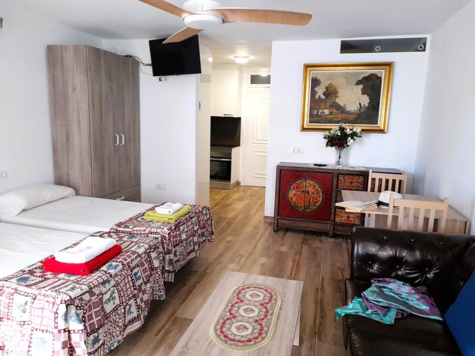 Bed, TV and multimedia, Living room, Photo of the whole room, Bedroom, fireplace, towels, wardrobe