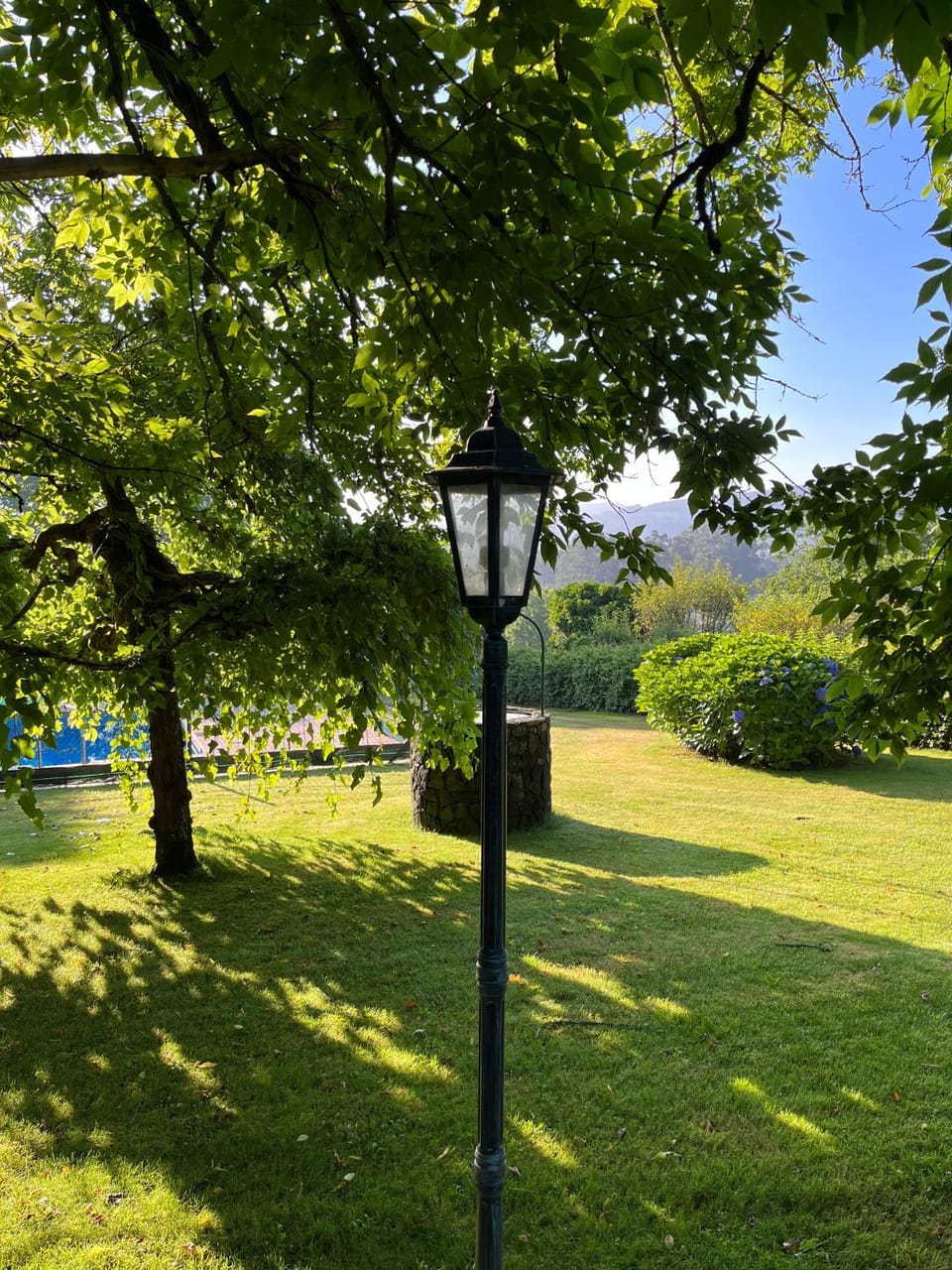 Garden, Swimming pool