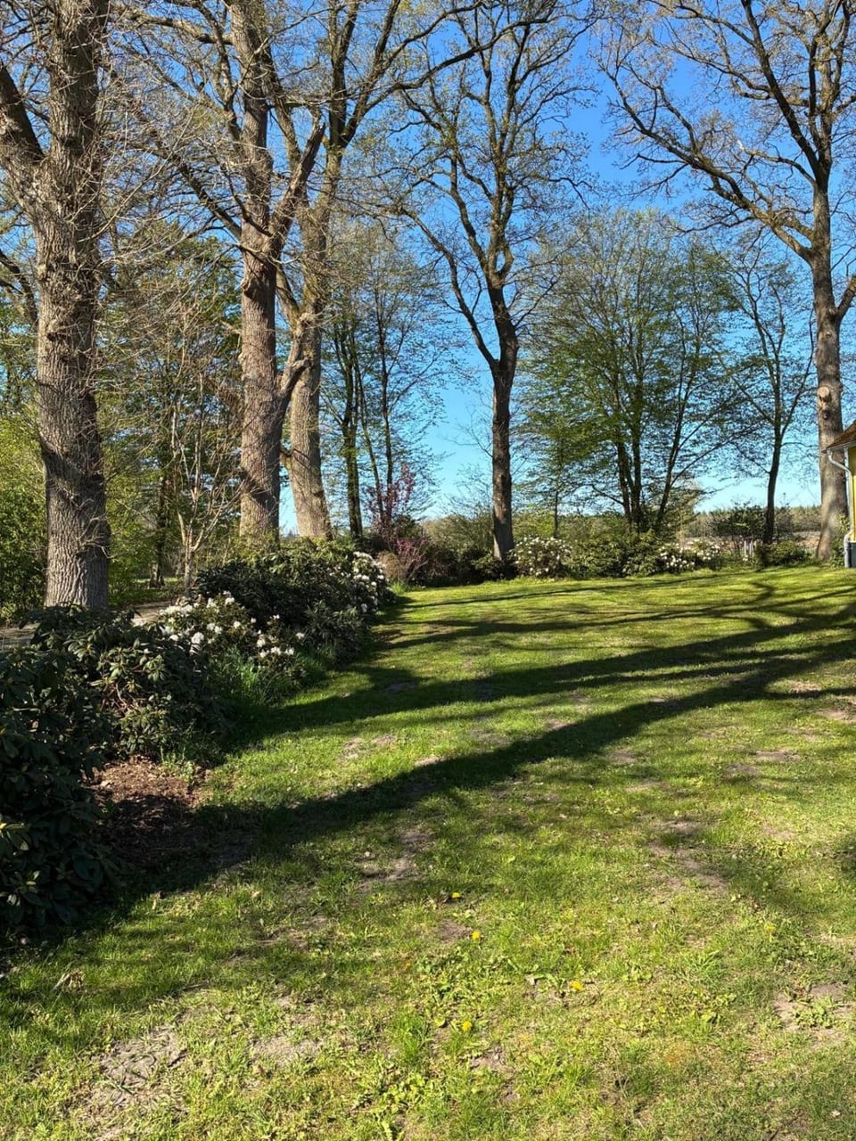 Haus Wald und Wiese Wohnung Wald Apartment in Schleswig-Holstein