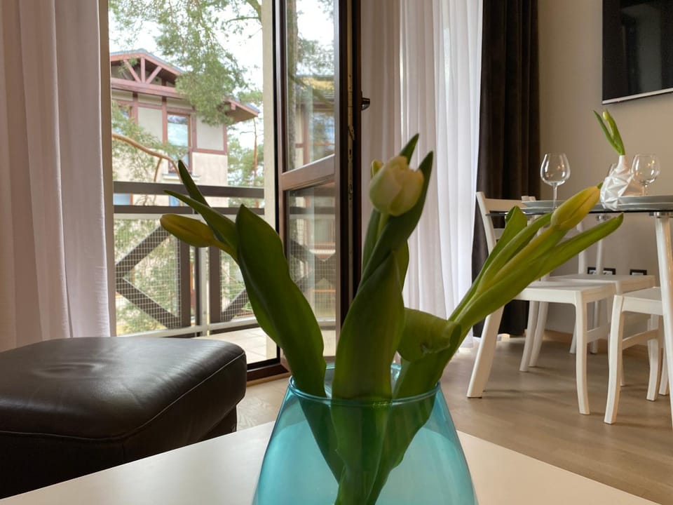 Balcony/Terrace, Living room