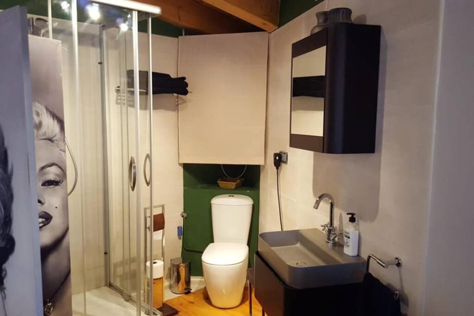 Casa Ambiente Rural: En plena Ribera del Duero Apartment in Castile and León
