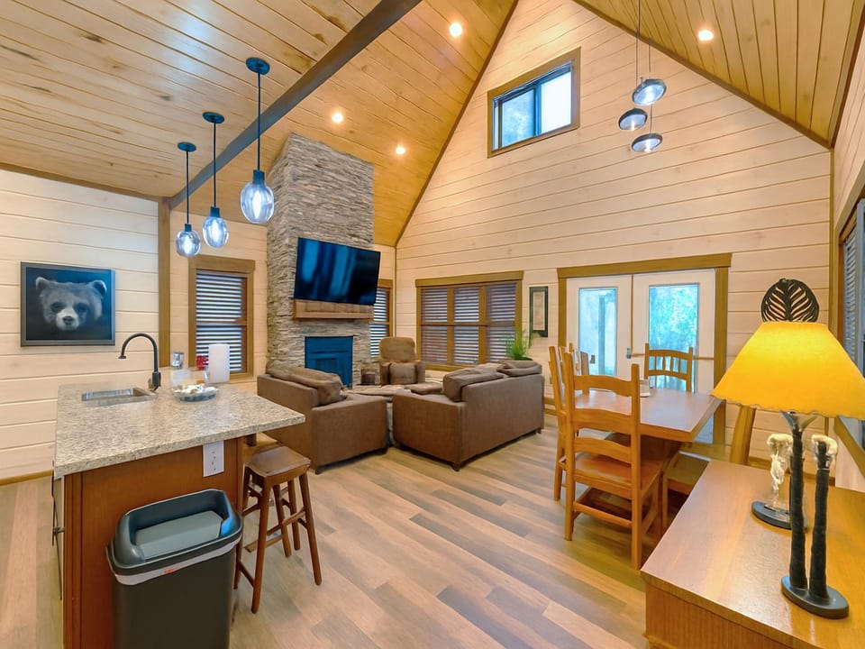 TV and multimedia, Kitchen or kitchenette, Living room, Dining area, fireplace, furniture
