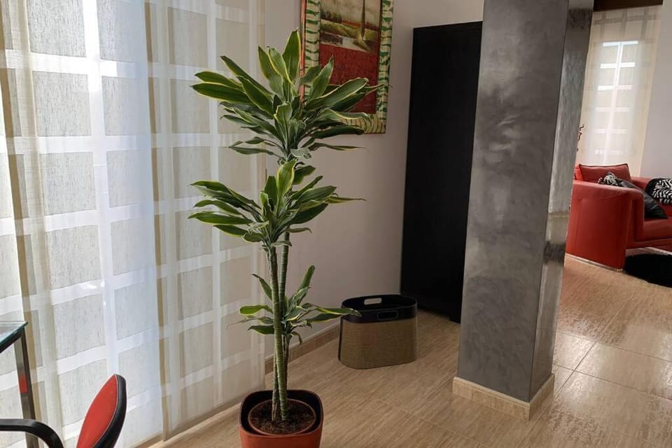 Apartamento Miramar . Amplitud y Comodidad Apartment in Valencian Community