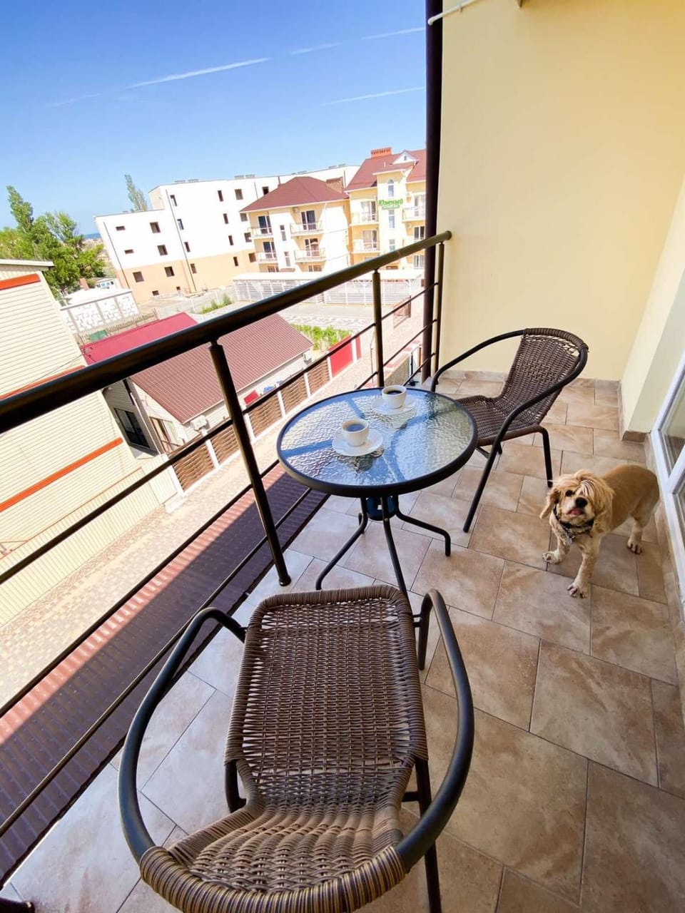 Balcony/Terrace