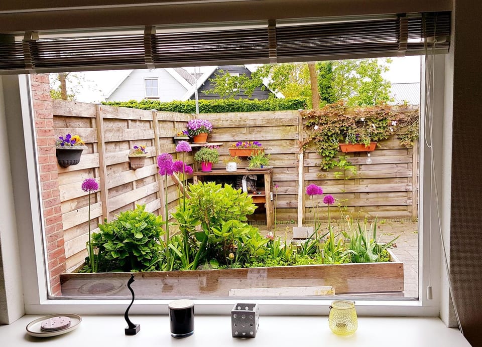 Garden view