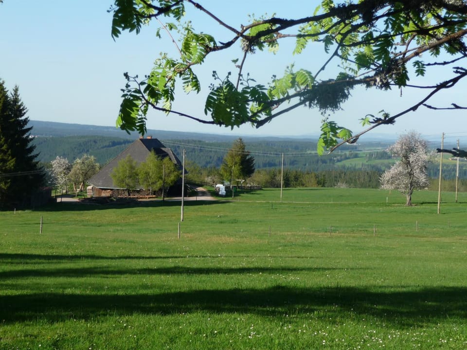 View (from property/room)