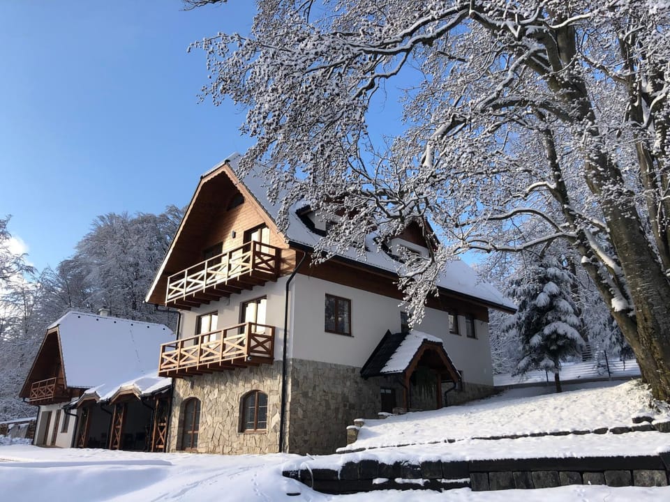 Property building, Winter