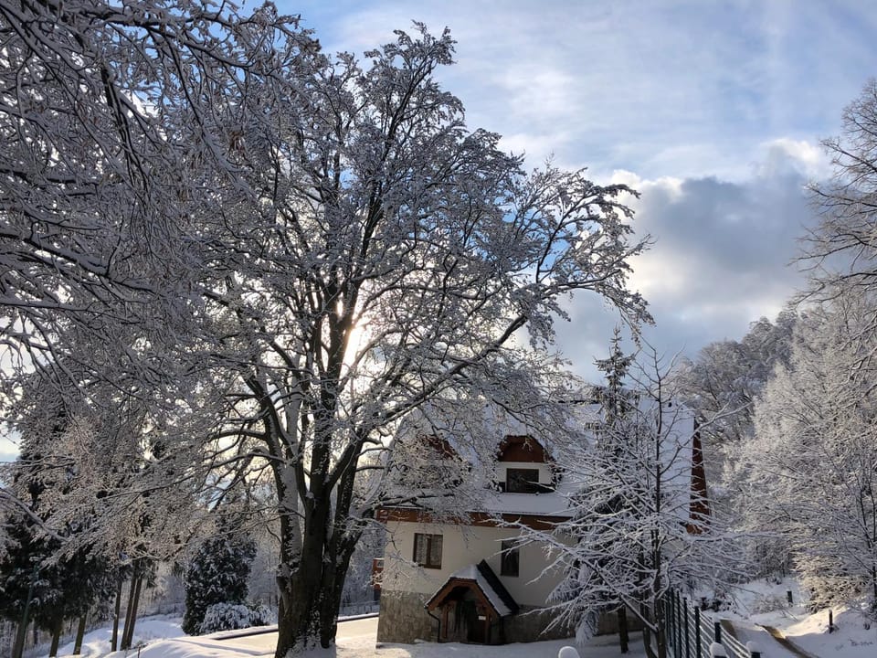 Property building, Winter