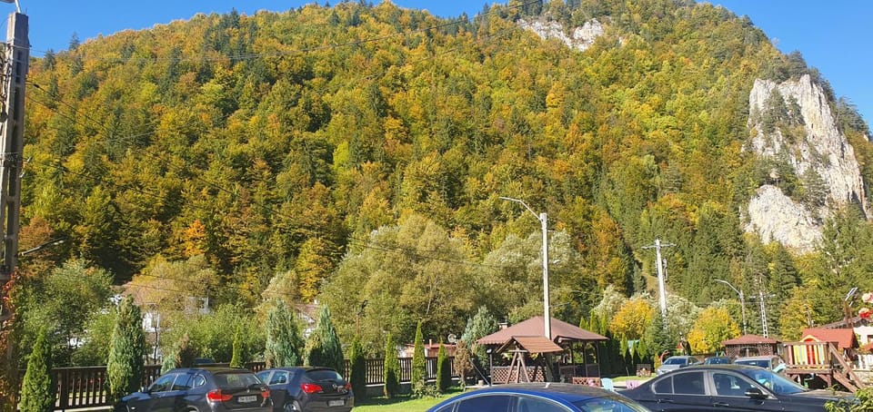 Pensiunea Cezar-Codrin Bed and Breakfast in Brașov County