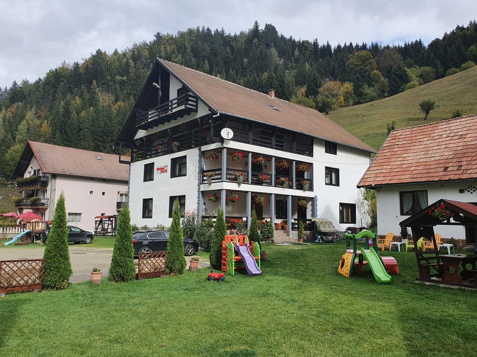 Pensiunea Cezar-Codrin Bed and Breakfast in Brașov County