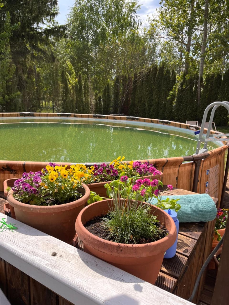 Uroczy dom nad jeziorem Śniardwy tuż obok plaży House in Poland