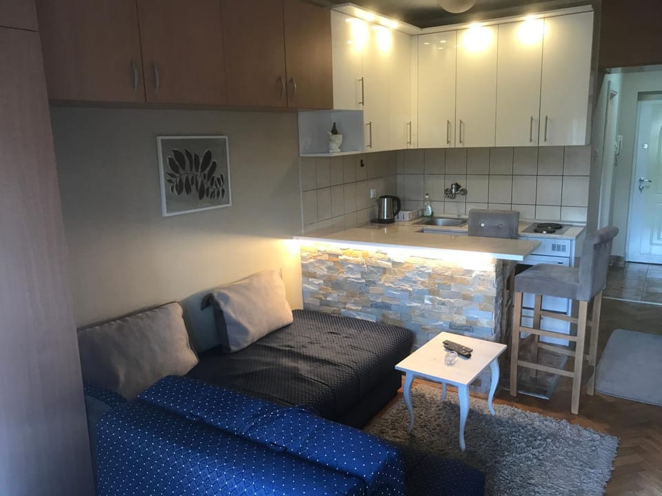 Kitchen or kitchenette, Living room, Seating area
