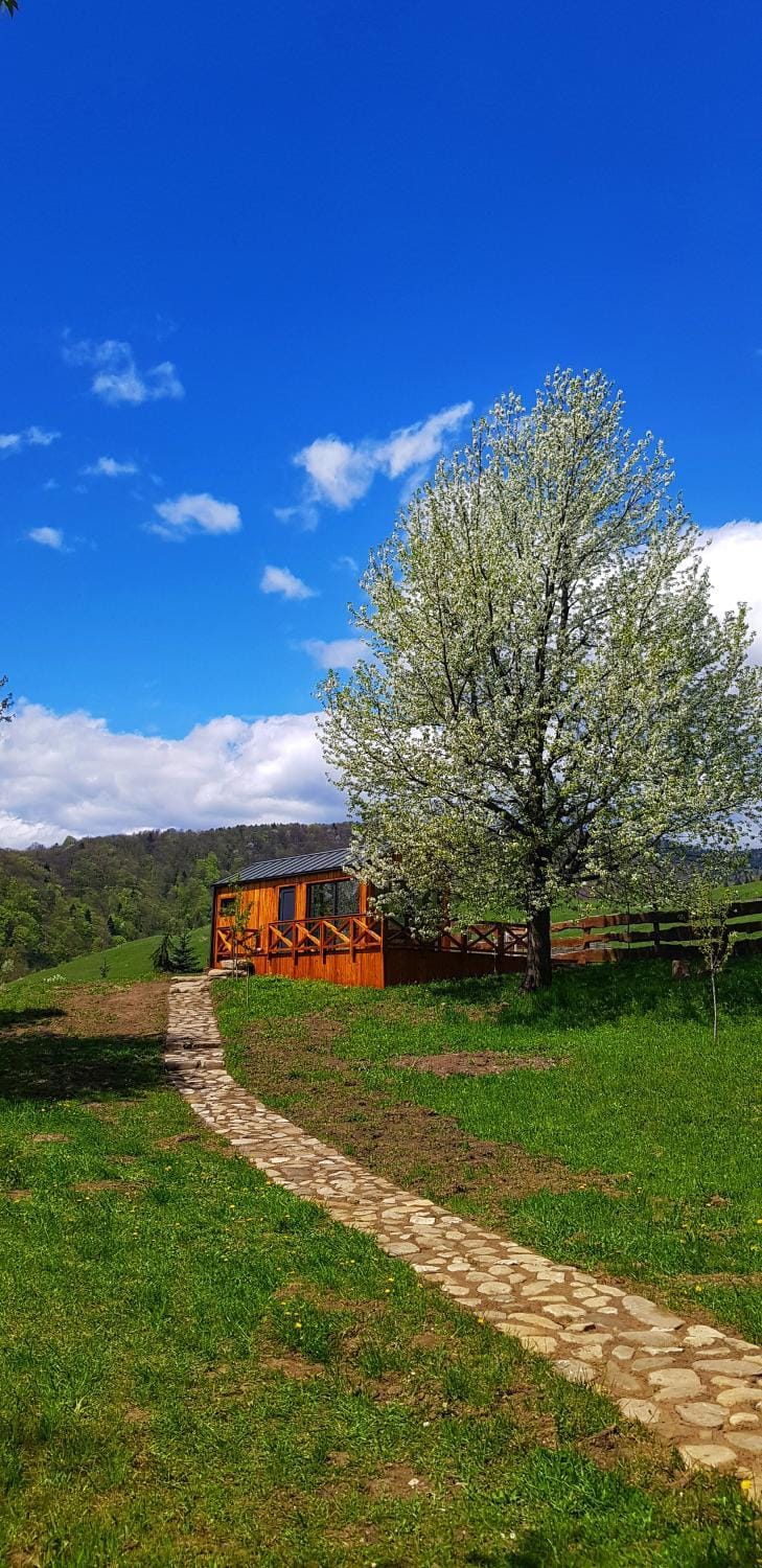 Căsuța de sub cireș Campground/ 
RV Resort in Romania