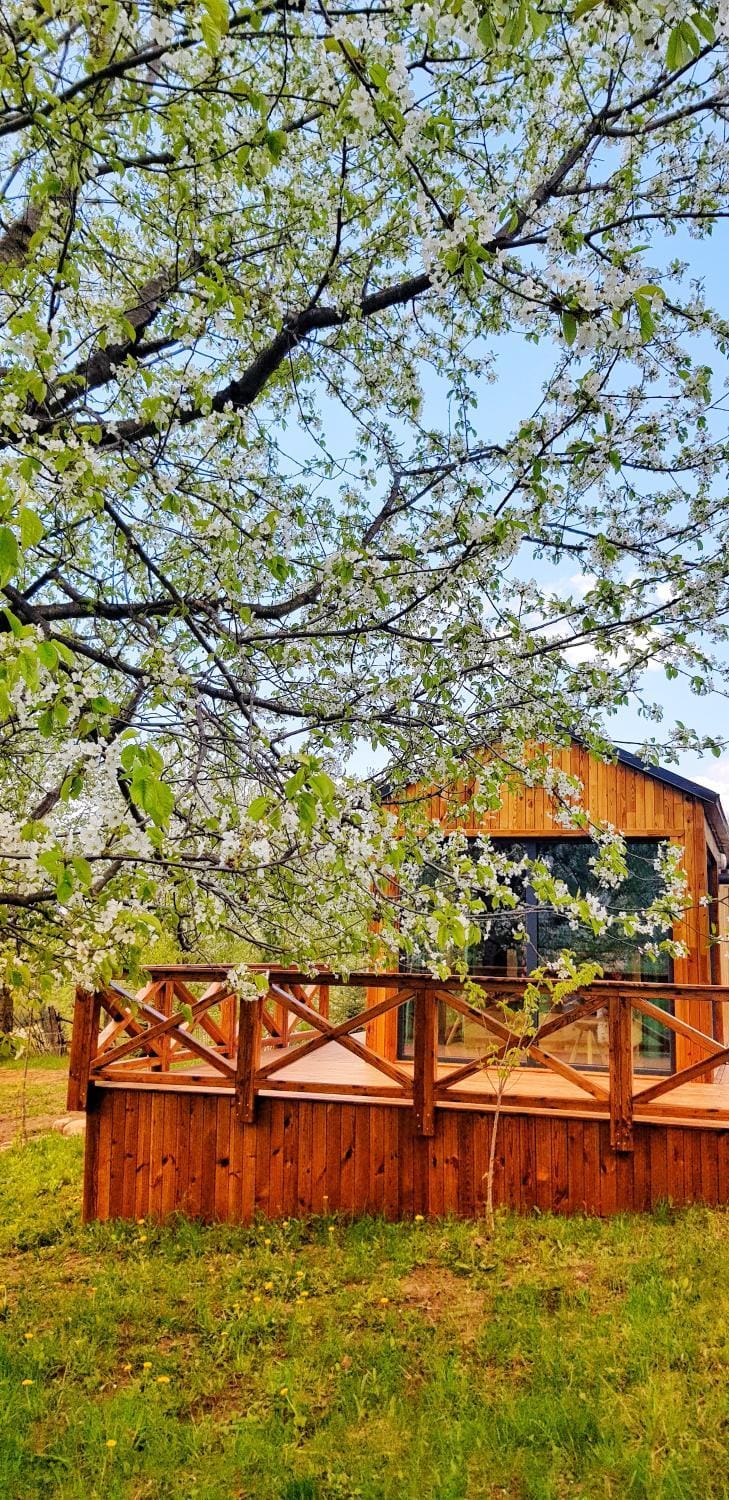 Căsuța de sub cireș Campground/ 
RV Resort in Romania