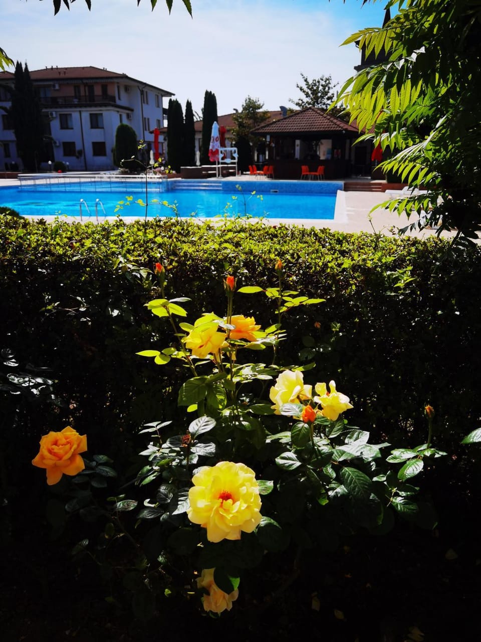 Harmony hills view apartments Apartment in Varna Province