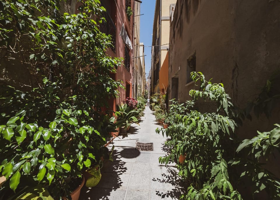 Quiet street view
