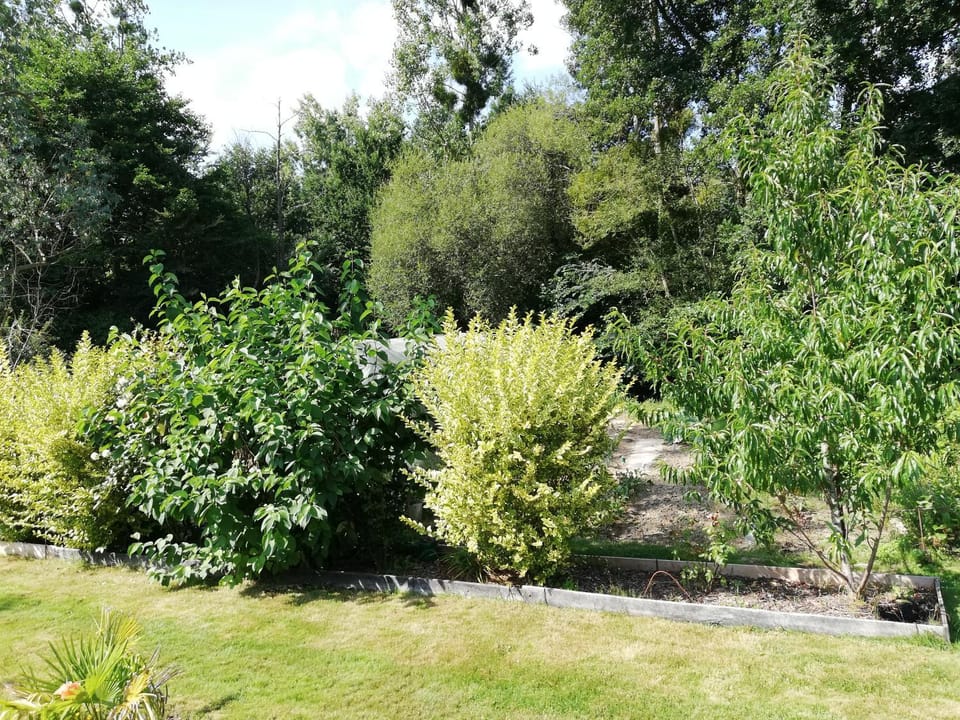 Property building, Garden view