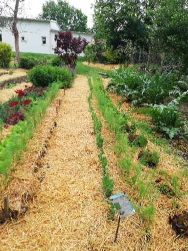Au cœur du jardin House in Brittany