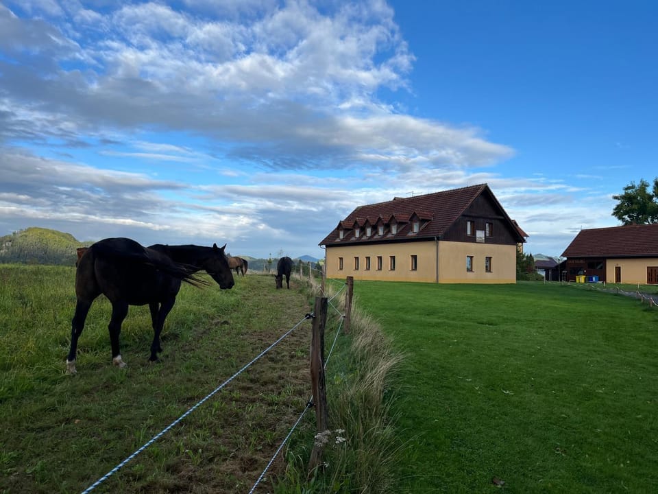 Pension Hofberg Apartment hotel in Sächsische Schweiz-Osterzgebirge