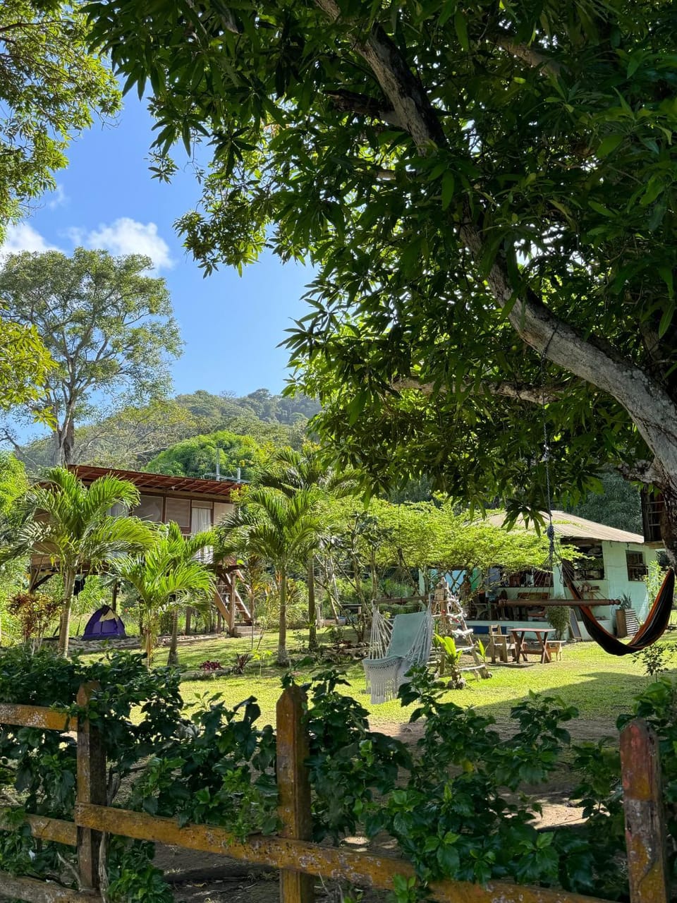 Casa Alma Bed and Breakfast in Choco, Colombia