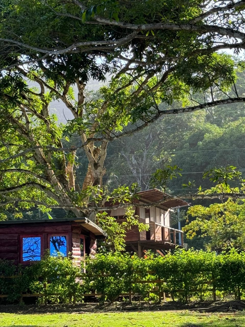 Casa Alma Bed and Breakfast in Choco, Colombia
