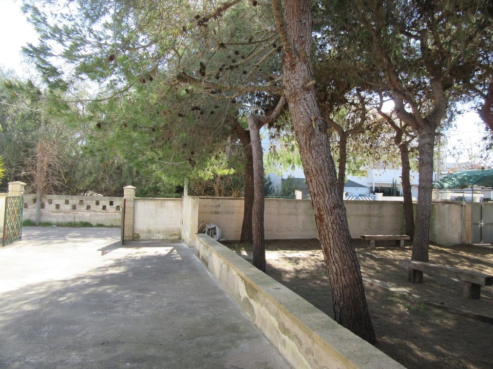 Garden, Garden view