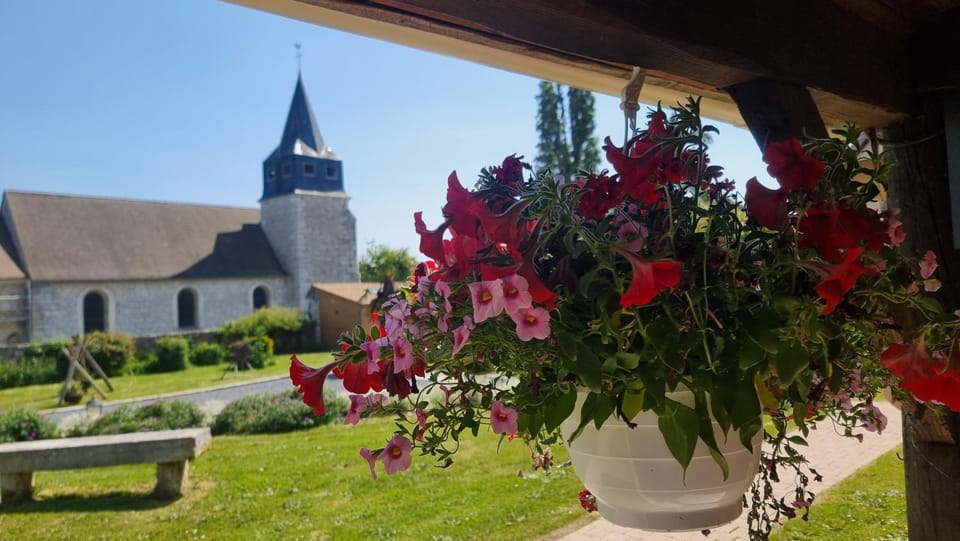 Garden, Garden, Garden view, Garden view