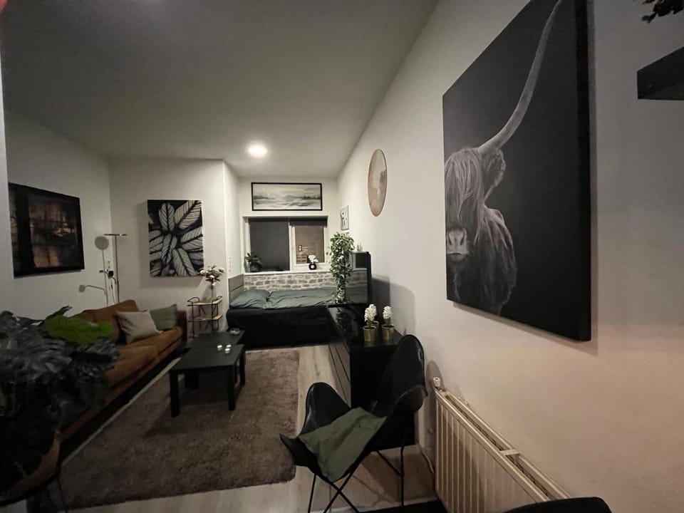 Bed, TV and multimedia, Living room, Seating area