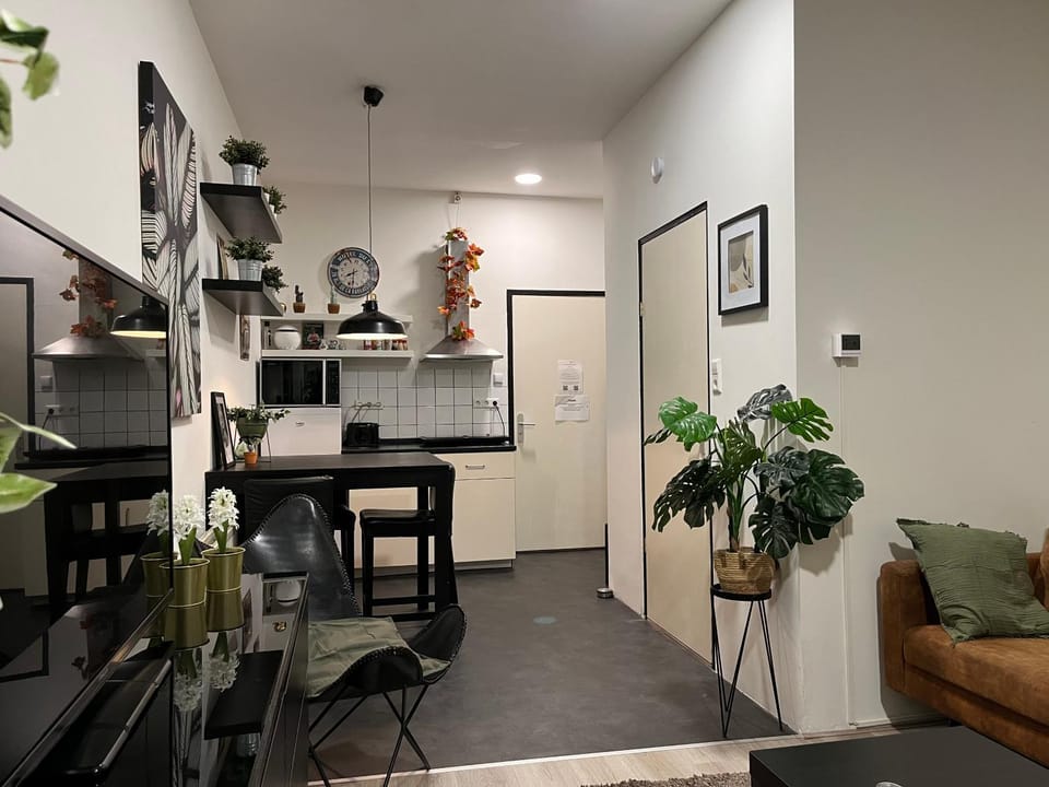 Kitchen or kitchenette, Dining area, stove