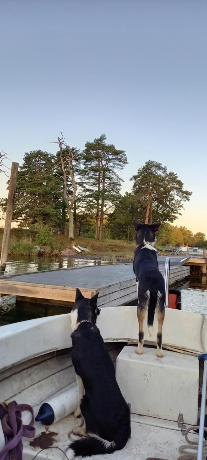 Sankt Anna Bed and Boat, Bed and Breakfast in Sweden