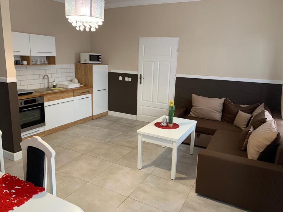 Willa Konopnicka Apartment in Poland
