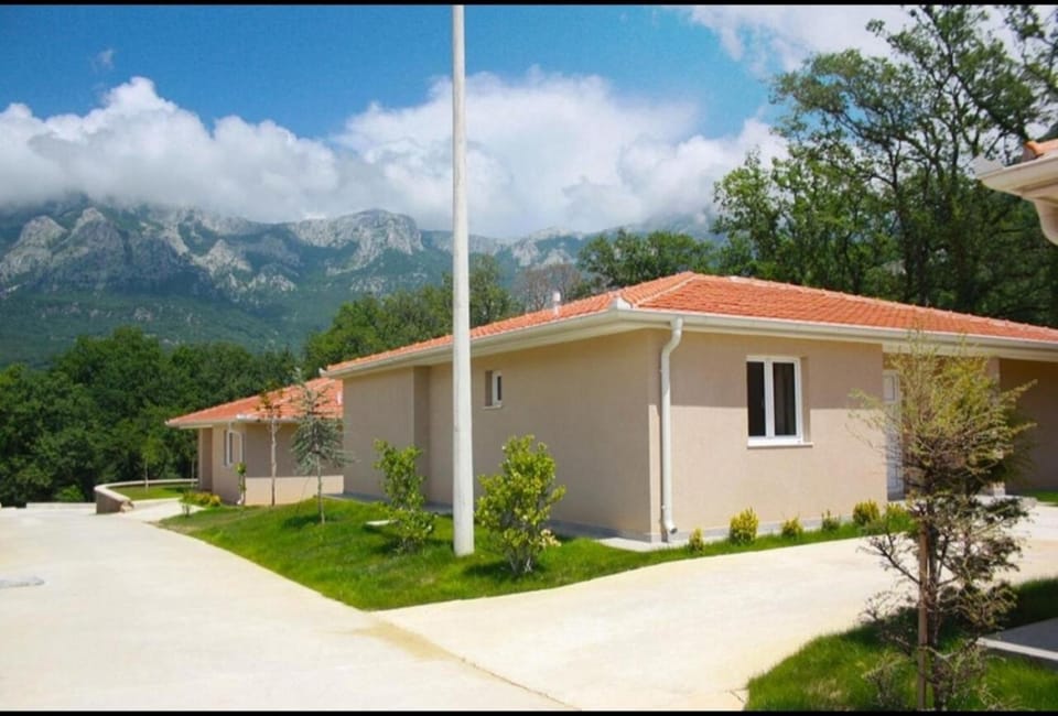 Property building, Facade/entrance, Garden