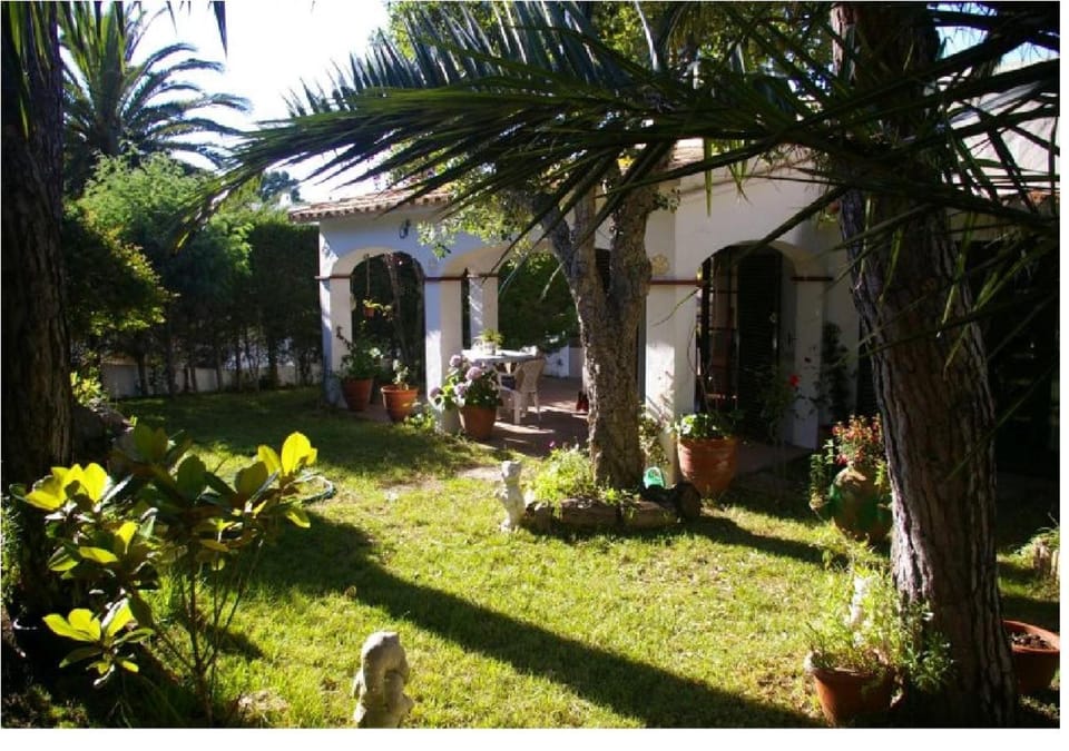 Facade/entrance, Garden