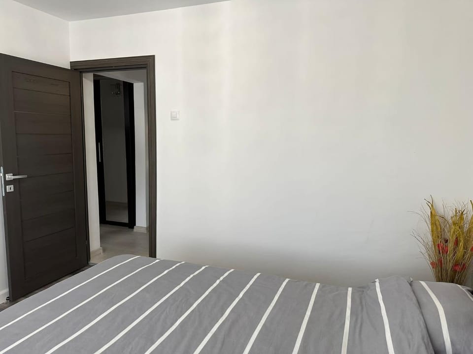 Luxury House Apartment in Romania