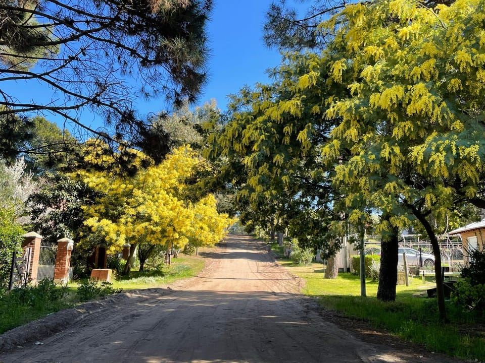 Quiet street view