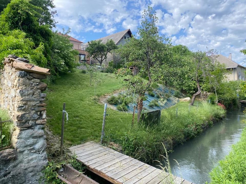 Garden, Garden