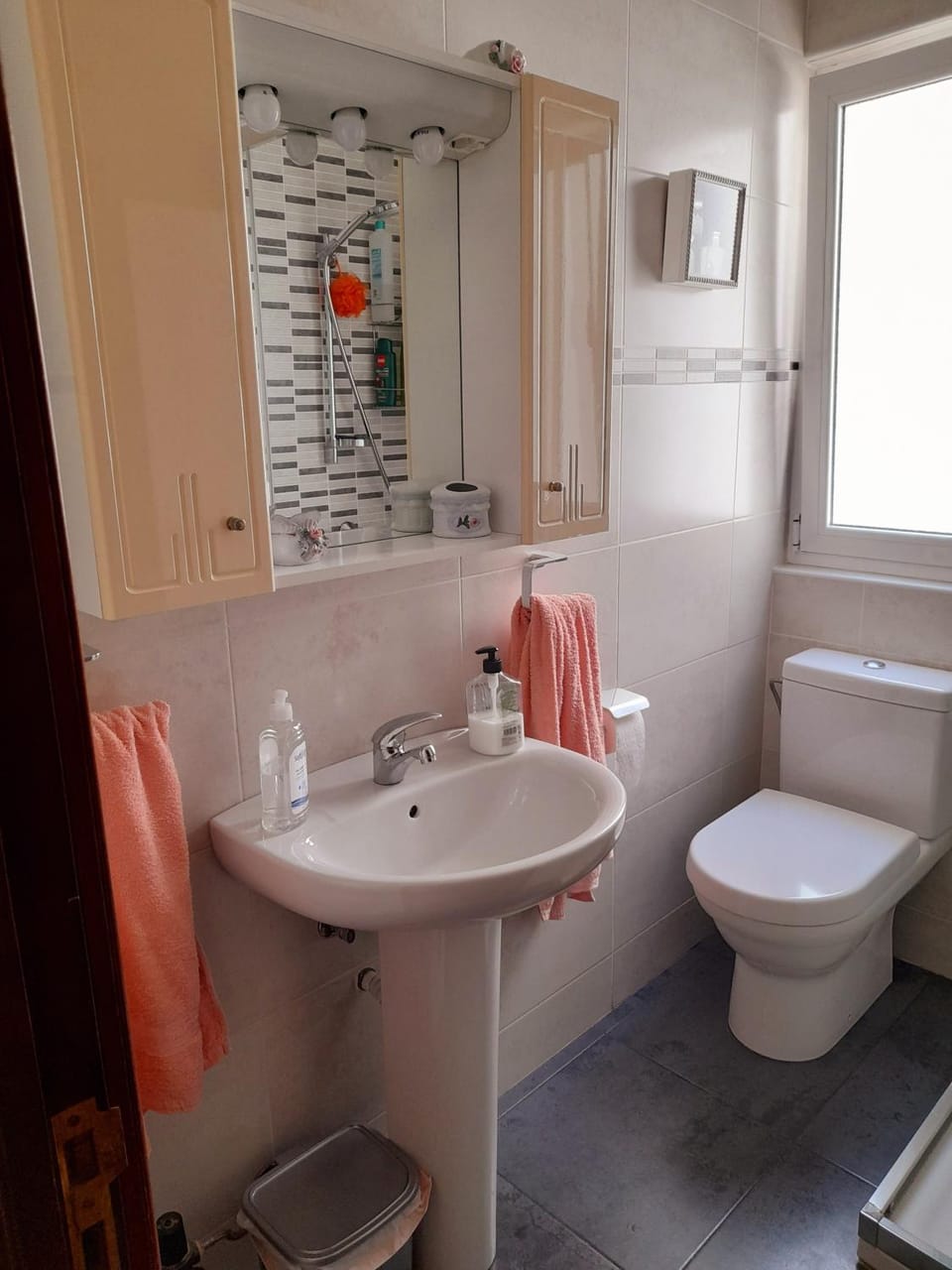 La Palomera Apartment in León