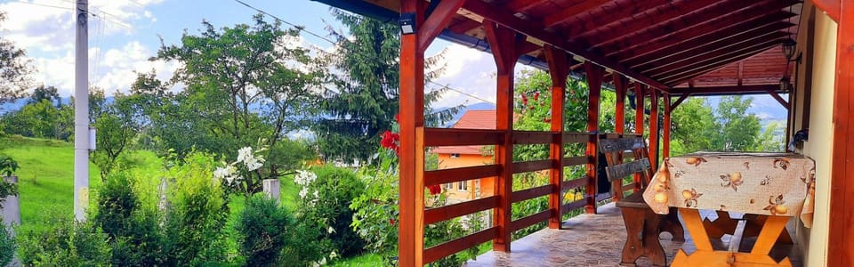 Casa Andreea și Grigore Ursu House in Romania