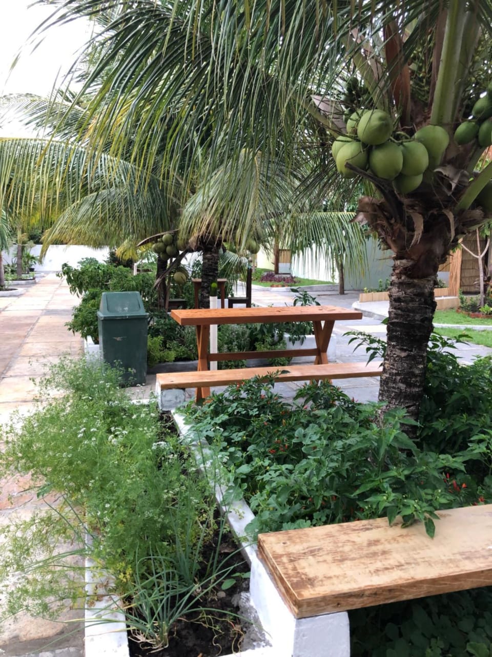 POUSADA IRMAOS ATINS Inn in State of Maranhão, Brazil