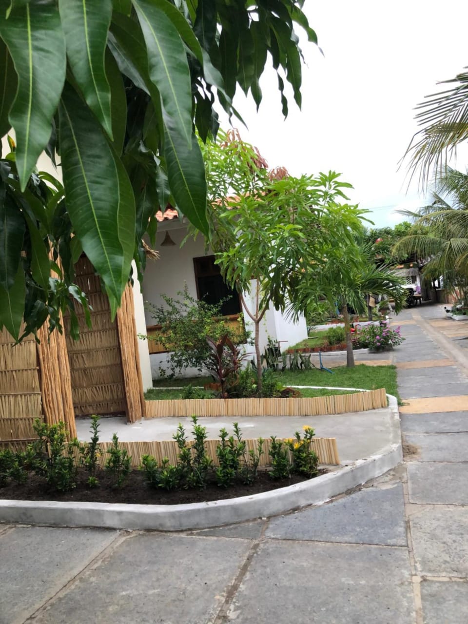 Garden view