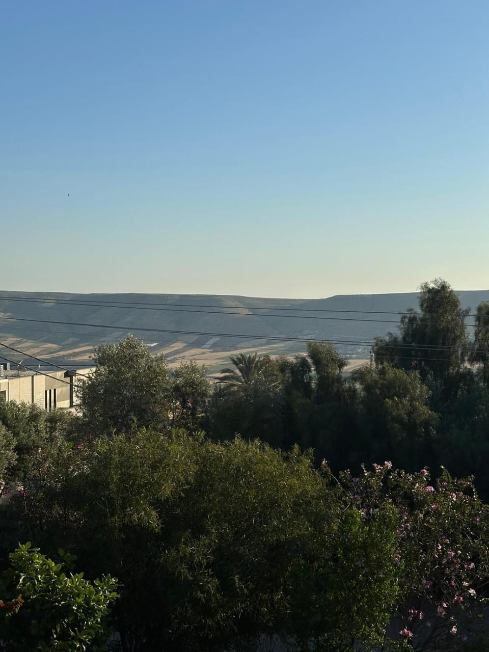 View (from property/room)