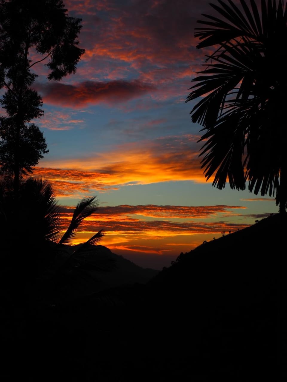 Sunrise