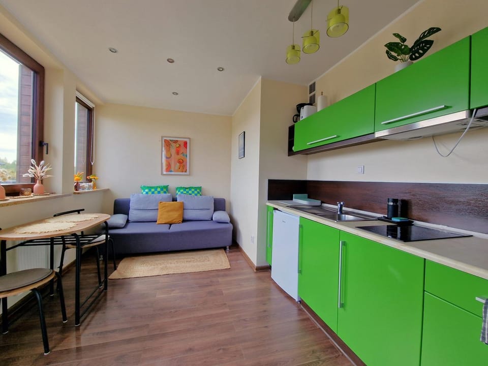 Kitchen or kitchenette, Living room, Dining area, stove