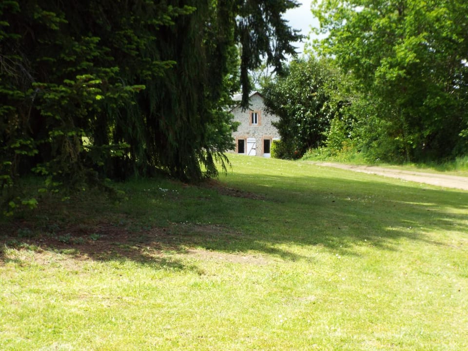 Natural landscape, Garden