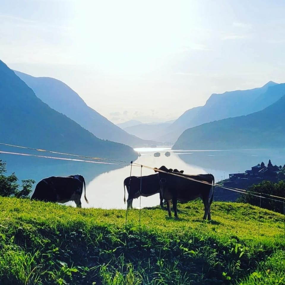 Day, Lake view