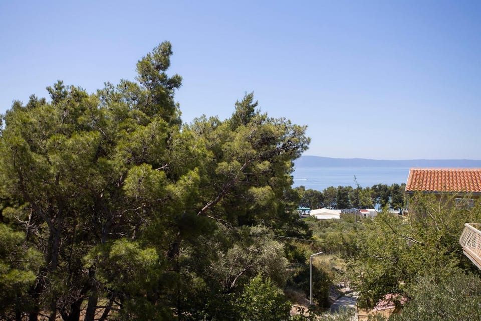Bathroom, Garden view