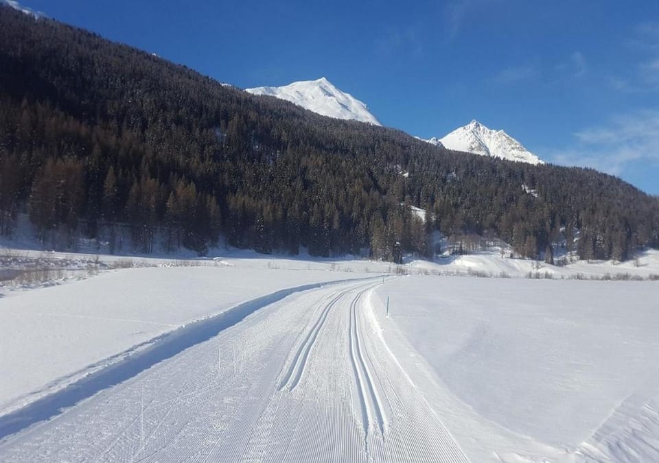 Fuldera Daint chasa Zanoli Wohnung Parterre Apartment in Canton of Grisons