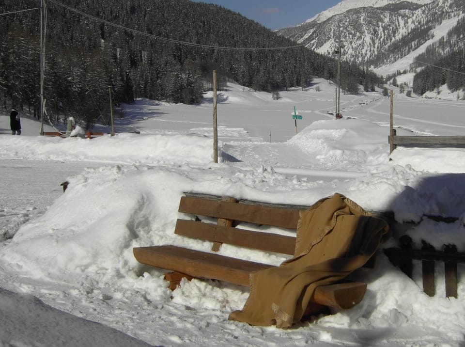 Fuldera Daint chasa Zanoli Wohnung Parterre Apartment in Canton of Grisons